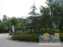 李家沱 民主新村一期二房26.5万