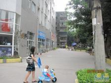 户型方正,环境安静,采光很好,居家安静