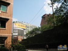 大川家园 5室1厅 南