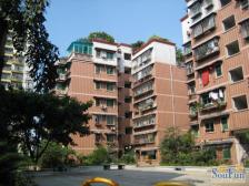 杨公桥 大川家园一房50万