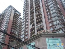 宏信大厦 1室1厅 南