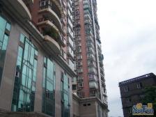 宏信大厦 3室1厅 东南 西南