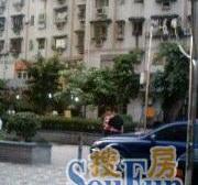 李家沱 庆丰花园(电梯)三房70万