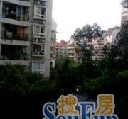 李家沱商圈 庆丰电梯大3房 配套成熟 近轻轨