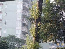 沙滨路 华宇金沙港湾B区二房