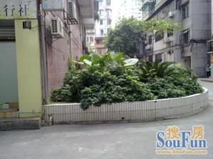 龙虎墙(韫祥楼) 2房 52 方