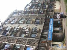 铁路八村 南北通透,采光好 视野好,诚心出售