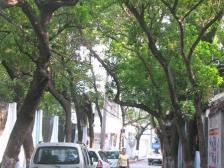 经堂巷 南北通透,采光好 装修好,环镜优美 视野好,诚心出售