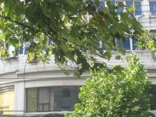 户型、位置佳、视野开阔、空气清新 、特别适合居家过日子