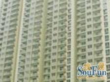 品质小区,环境优美,诚意出售,精装好房