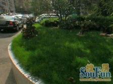 贝港花苑 2室2厅 南