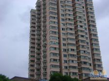 1、12双轨之间电梯全明两房 中间楼 视野采光超好 诚心卖!