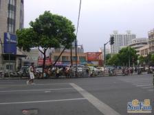 近地铁 无抵押,采光好,电梯房,热销好房