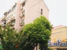 宝钢四村 3室1厅 南