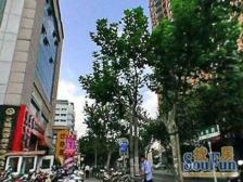 大连路和平公园旁 全明大三房 精装修高区景观房 看房随时