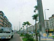 里昂公寓 2室1厅 南