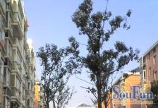 近地铁,现场实勘产权清晰,满五必看好房