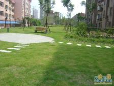 天鸿公寓 3室2厅 南