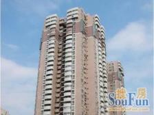 新天地烫金板块,总价低底价呈现,满五税少