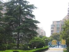 满五年上家仅一套,带地下车位可安充电桩,凤凰楼层