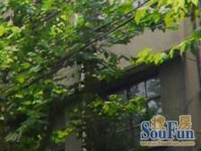 淮海中路·建国中路18号·1室·1厅