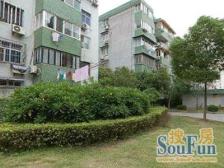 莘松九村大4房,户型很好,采光佳,1998年房子质量好