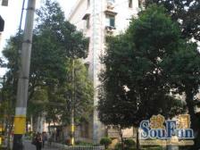 潍坊一村1室1厅1卫南