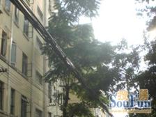 少见全南户型 全天采光 看房随时 好房子必看