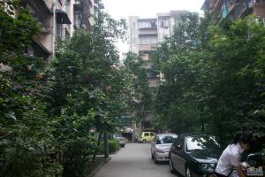 燃灯寺北街63号 3室1厅 东