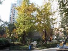 三洲娇子苑 3室2厅 东