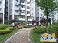 三洲娇子苑 2室1厅 东南