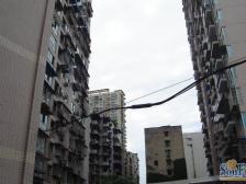 正规小两房 户型方正 采光好 业主安心出售