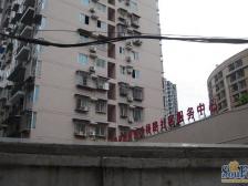 上南開小雪朝向安静 户型方正正规三室,出行方便诚售