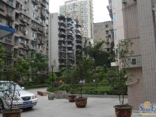 视野开阔,采光充足,楼下公交车站,生活便捷