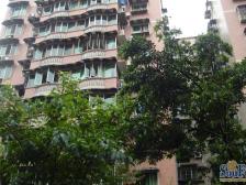 三峡广场 轻轨站门口 正规大三房 业主诚心出售