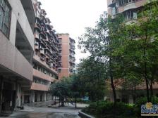 单价低位置好配套完善 环境优美