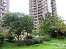 凤天路 升伟新时空(二期)二房85万