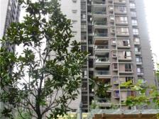 凤天路 升伟新时空(一期)二房64.6万