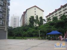 书香美舍 清水房 户型房子 交通便利