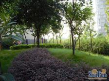 龙头寺 锋尚星空一房58万