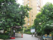 环线(图书馆3号出口)园林式小高层 居家生活两不误