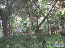 凤天路 天骄年华四房178万