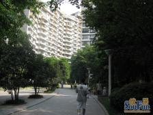 凤天路 天骄年华一房