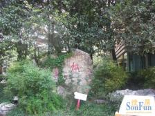 天骄年华 3室2厅 东南