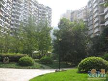 凤天路 天骄年华三房90万