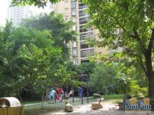 凤天路 天骄年华四房203万