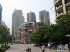 凤天路 欣光花苑三房105万