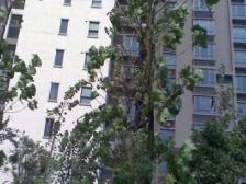 高楼层,采光好,视野开阔,楼下重百生活配套便利