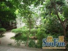 花卉园 黄金堡普通住宅小区二房37万