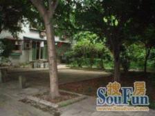 花卉园 黄金堡普通住宅小区三房44万